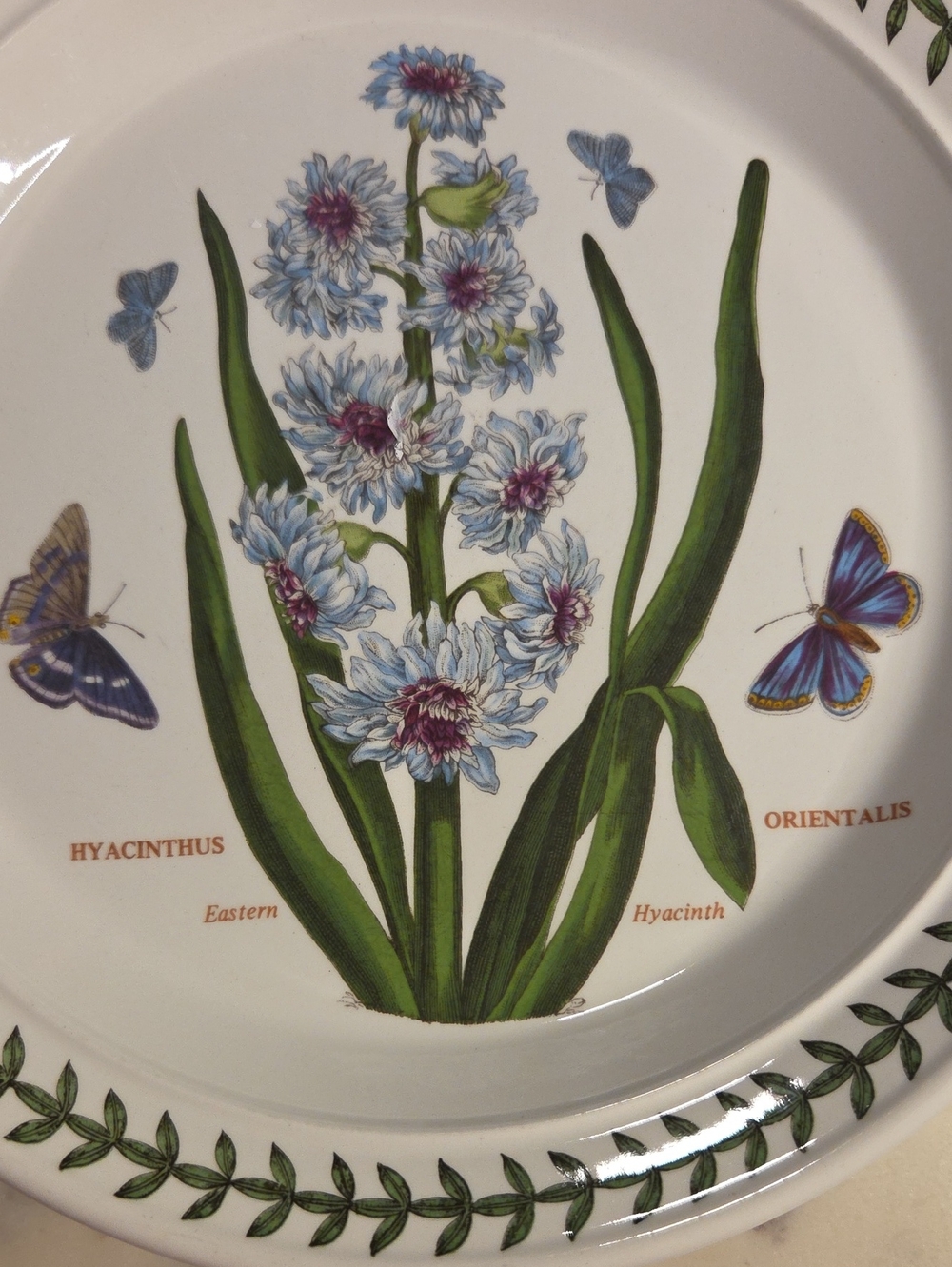 Vintage Portmeirion The Botanic Garden Floral Salad Plates 1972 | Britian Set 4 - Picture 13 of 13